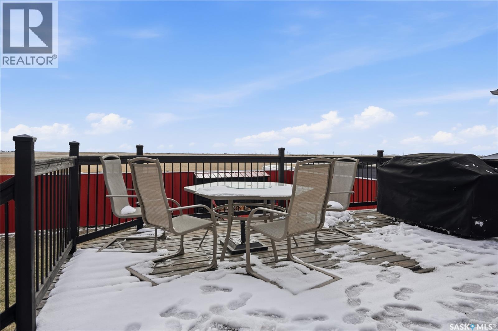 225 Willow Street, Pense, Saskatchewan  S0G 3W0 - Photo 29 - SK034040