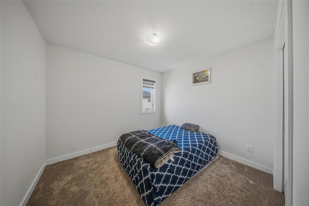 335 Old Commonwealth Path, Winnipeg, Manitoba  R2P 2X7 - Photo 21 - 202608577