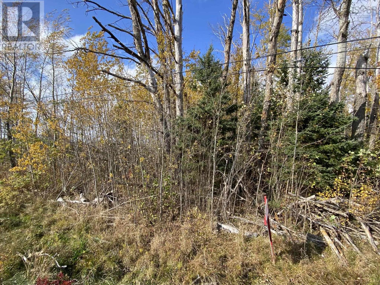 Lot 3a Highway 215, Noel, Nova Scotia  B0N 2C0 - Photo 4 - 202608832