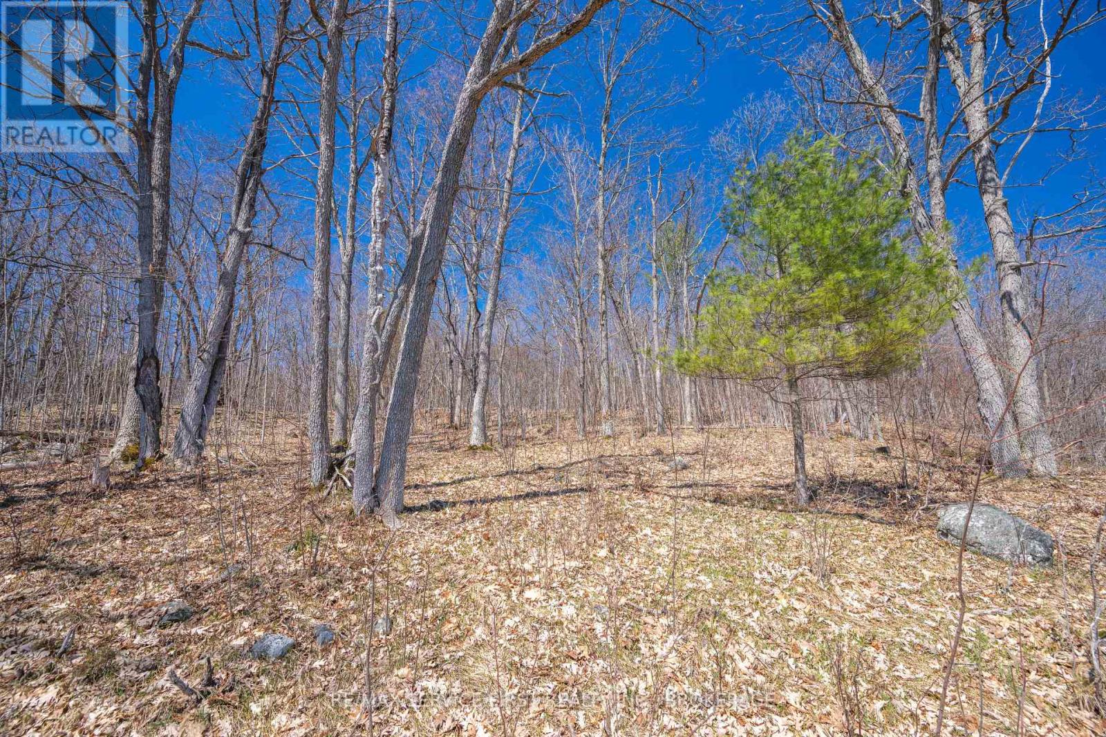 149 Richmond Point Lane, Stone Mills, Ontario  K0K 2A0 - Photo 5 - X13053458