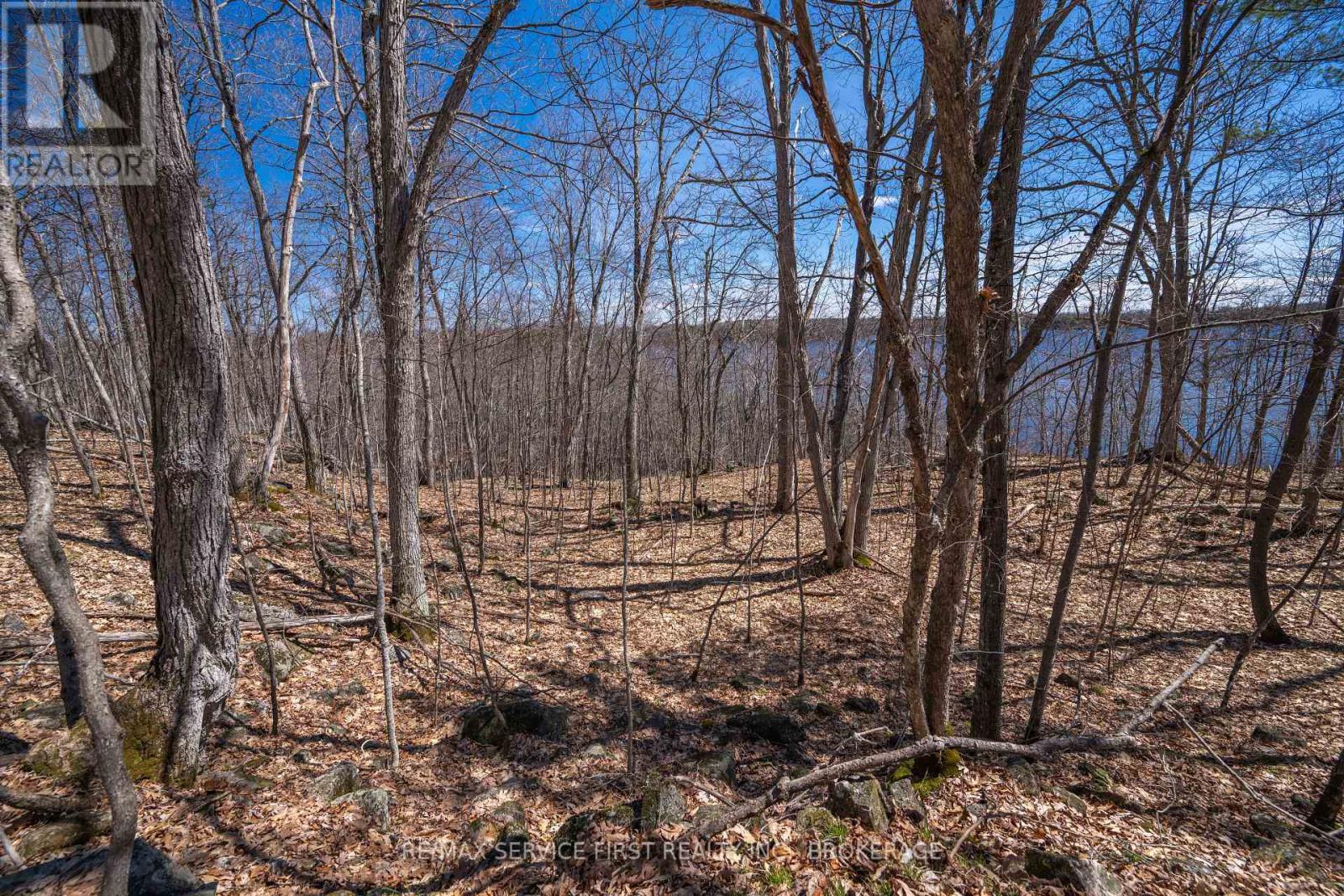 149 Richmond Point Lane, Stone Mills, Ontario  K0K 2A0 - Photo 6 - X13053458