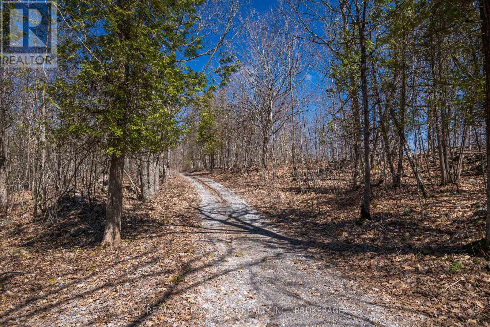 149 Richmond Point Lane, Stone Mills, Ontario  K0K 2A0 - Photo 7 - X13053458