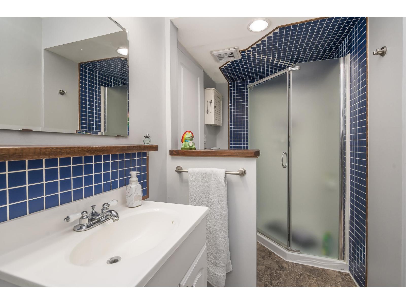 27366 32a Avenue, Langley, British Columbia  V4W 3H9 - Photo 39 - R3115854