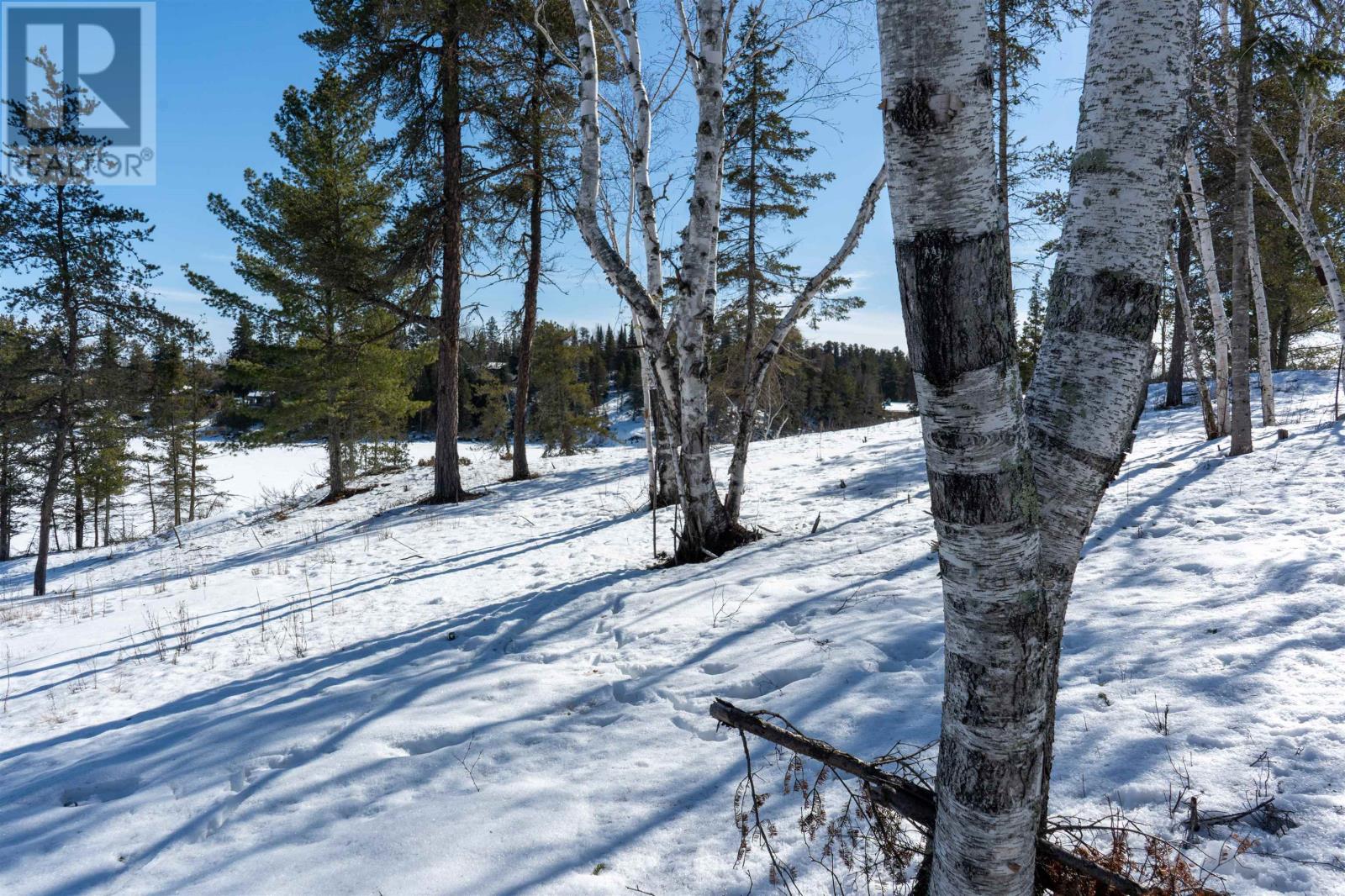 19a Miller Rd, Sioux Narrows, Ontario  P0X 1N0 - Photo 29 - TB2600439