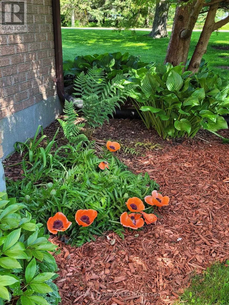 2487 Mossley Drive, Thames Centre, Ontario  N0L 1V0 - Photo 43 - X13053382