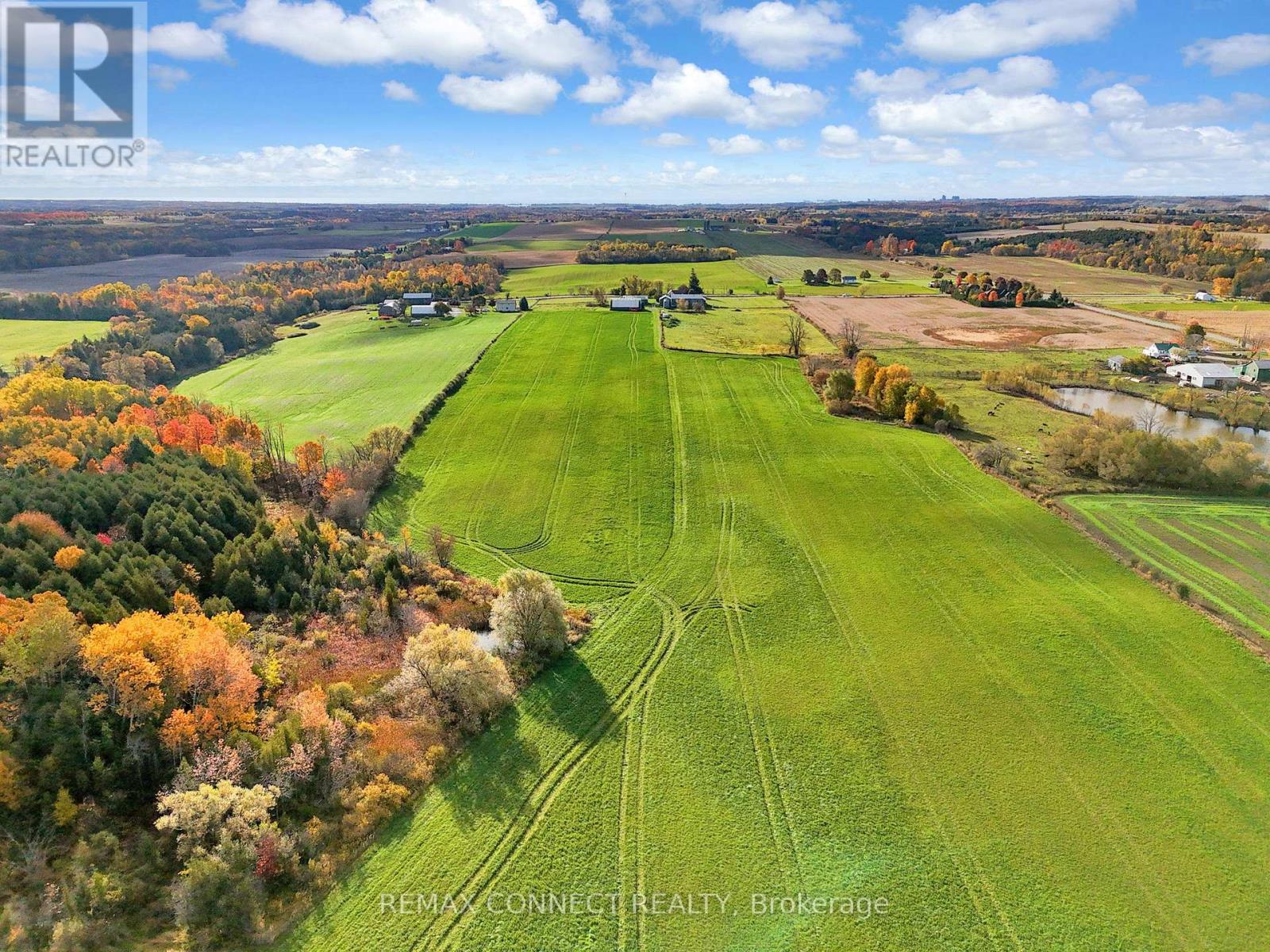 2890 Concession 7 Road, Clarington, Ontario  L1C 5W4 - Photo 2 - E13053484