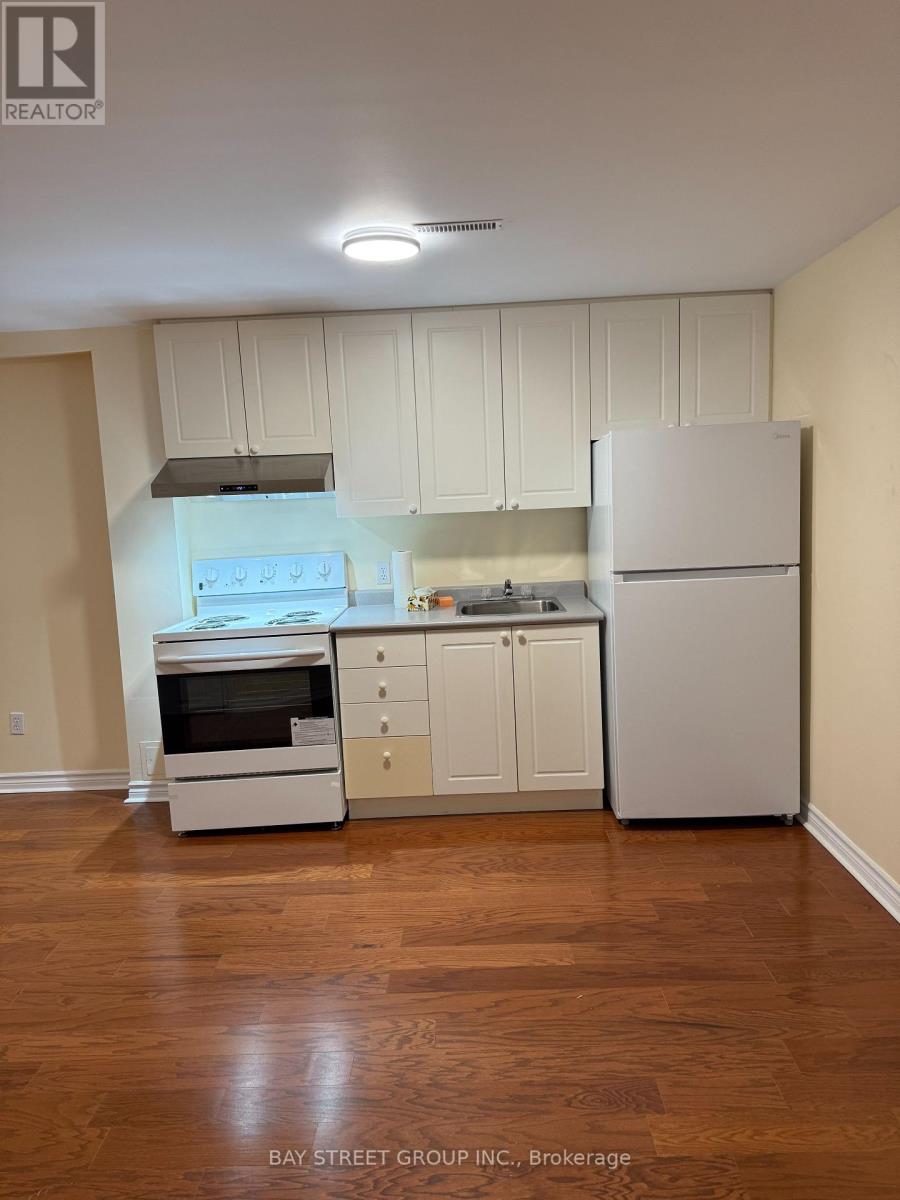 59 Hunt Avenue, Richmond Hill (Mill Pond), Ontario  L4C 4H1 - Photo 4 - N13053490