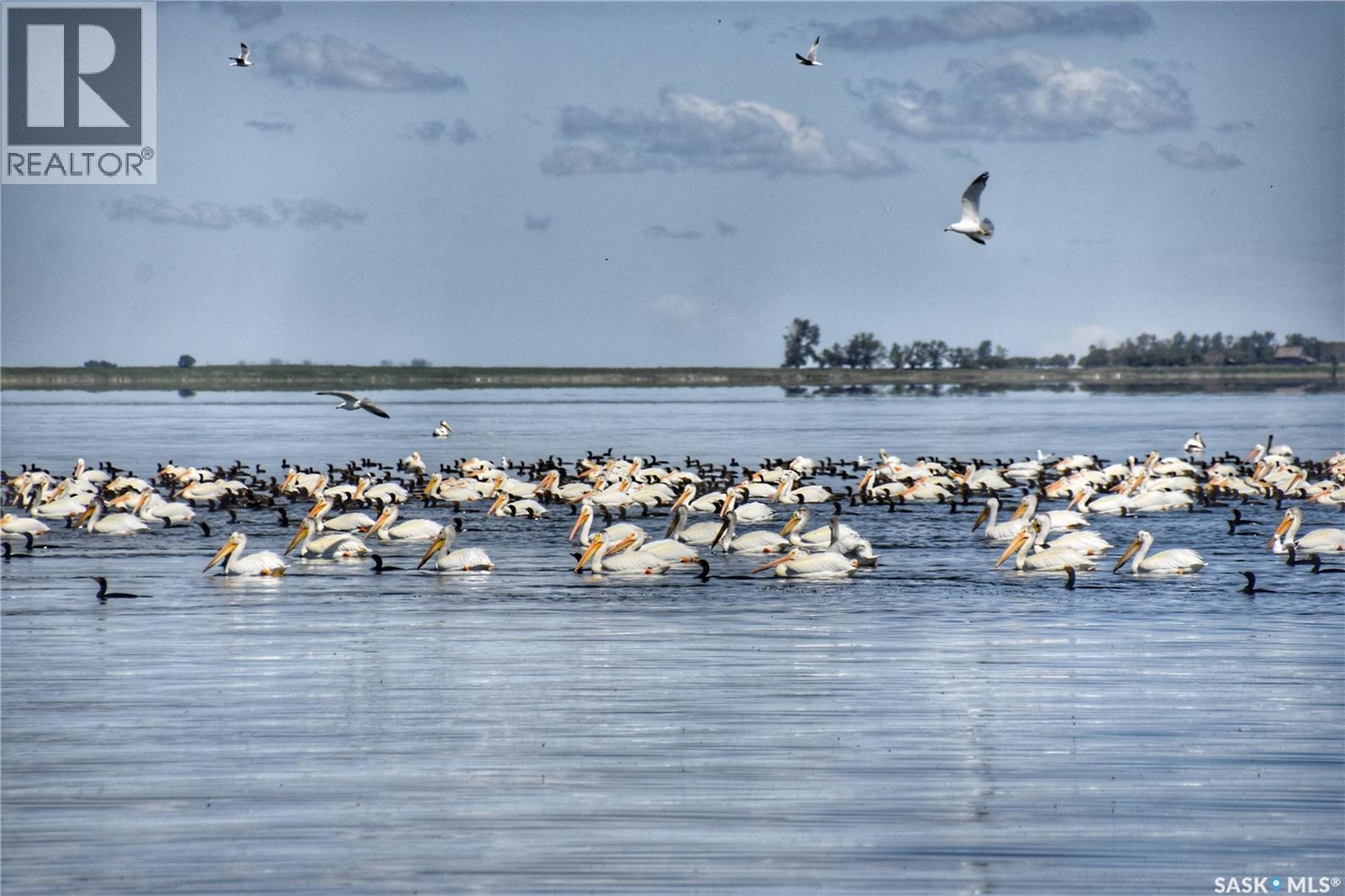 44 Sunset Acres Lane, Last Mountain Lake East Side, Saskatchewan  S0G 0Z0 - Photo 35 - SK034150