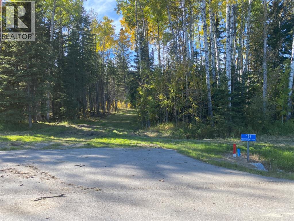 161 Meadow Ponds Drive, Rural Clearwater County, Alberta  T4T 2A2 - Photo 1 - A1259234