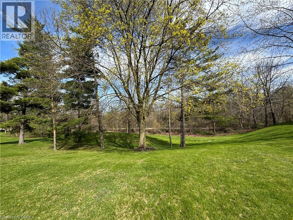 148 Pleasant Ridge Road, Brantford, Ontario  N3R 0B8 - Photo 13 - 40824517