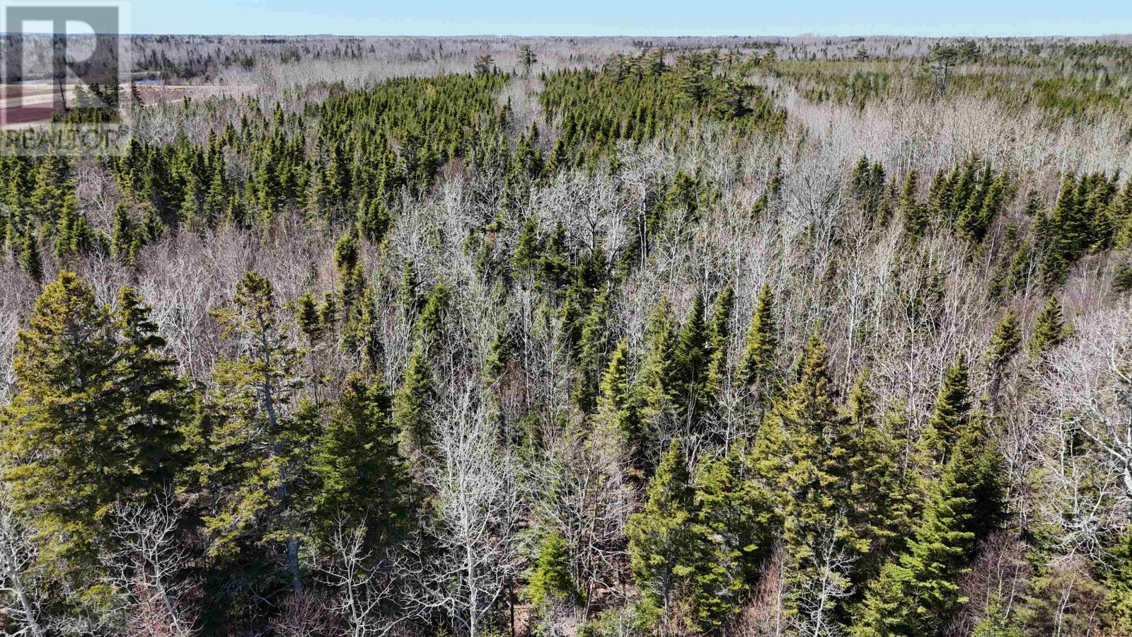 Campbell Lane, Huntley, Prince Edward Island  C0B 1B0 - Photo 5 - 202502703