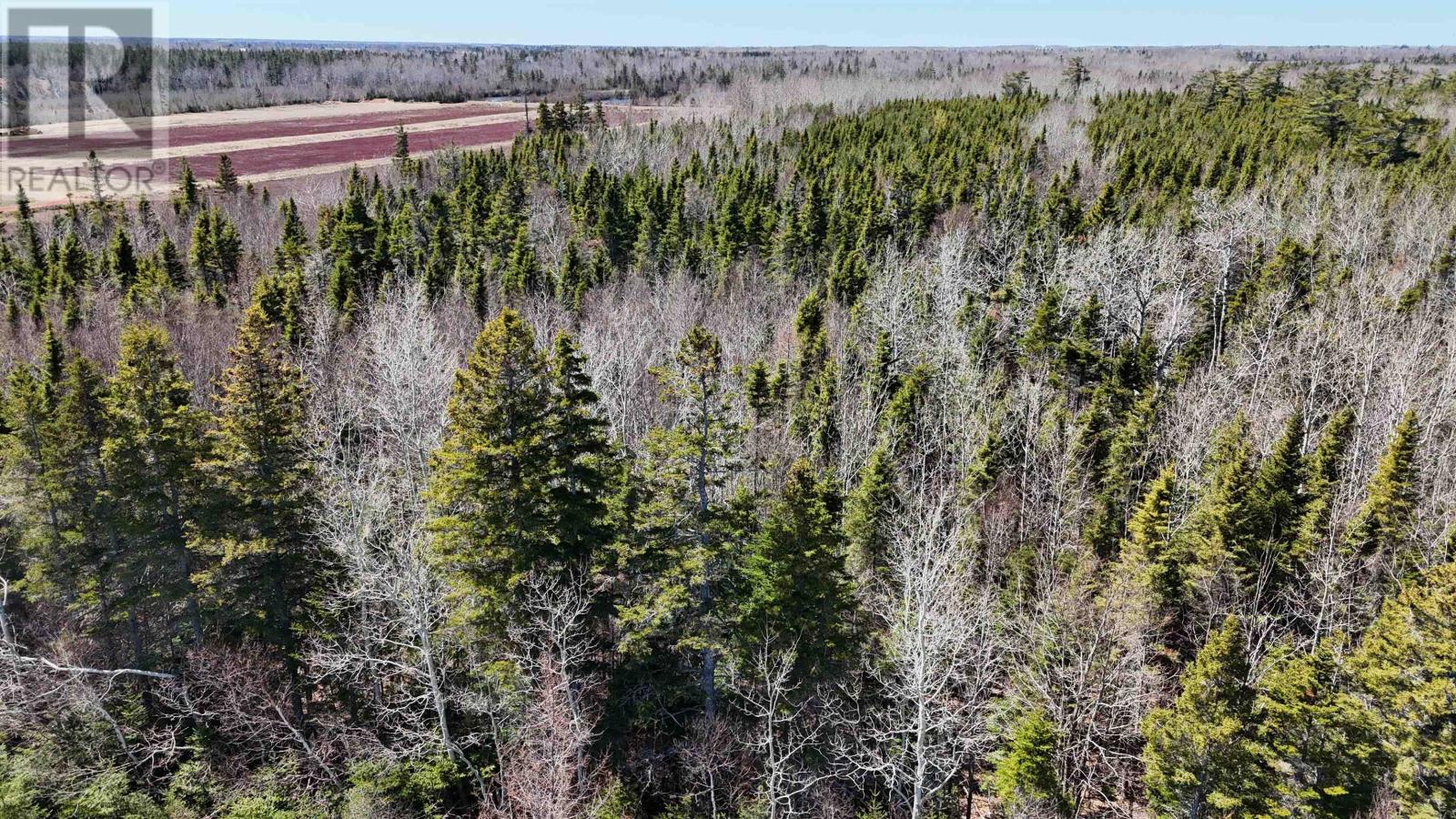 Campbell Lane, Huntley, Prince Edward Island  C0B 1B0 - Photo 7 - 202502703