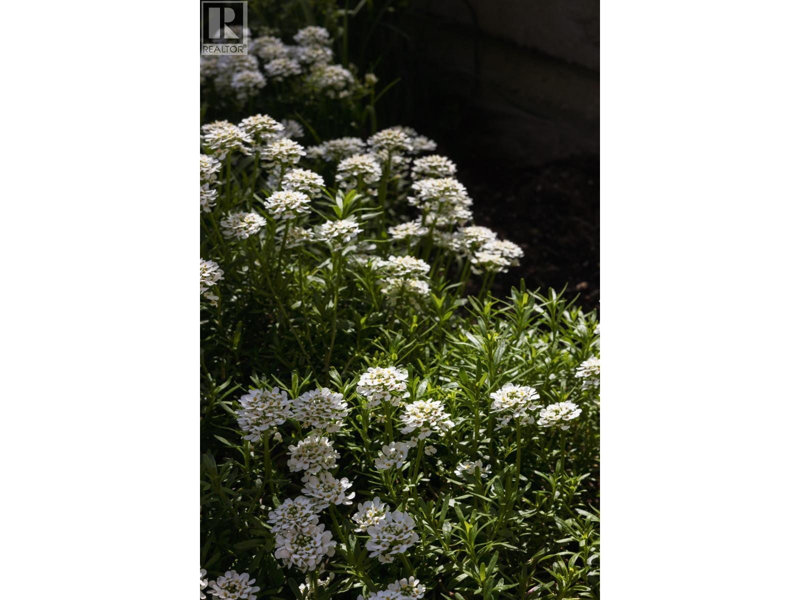 201 3595 W 26th Avenue, Vancouver, British Columbia  V6S 1N8 - Photo 25 - R3116673