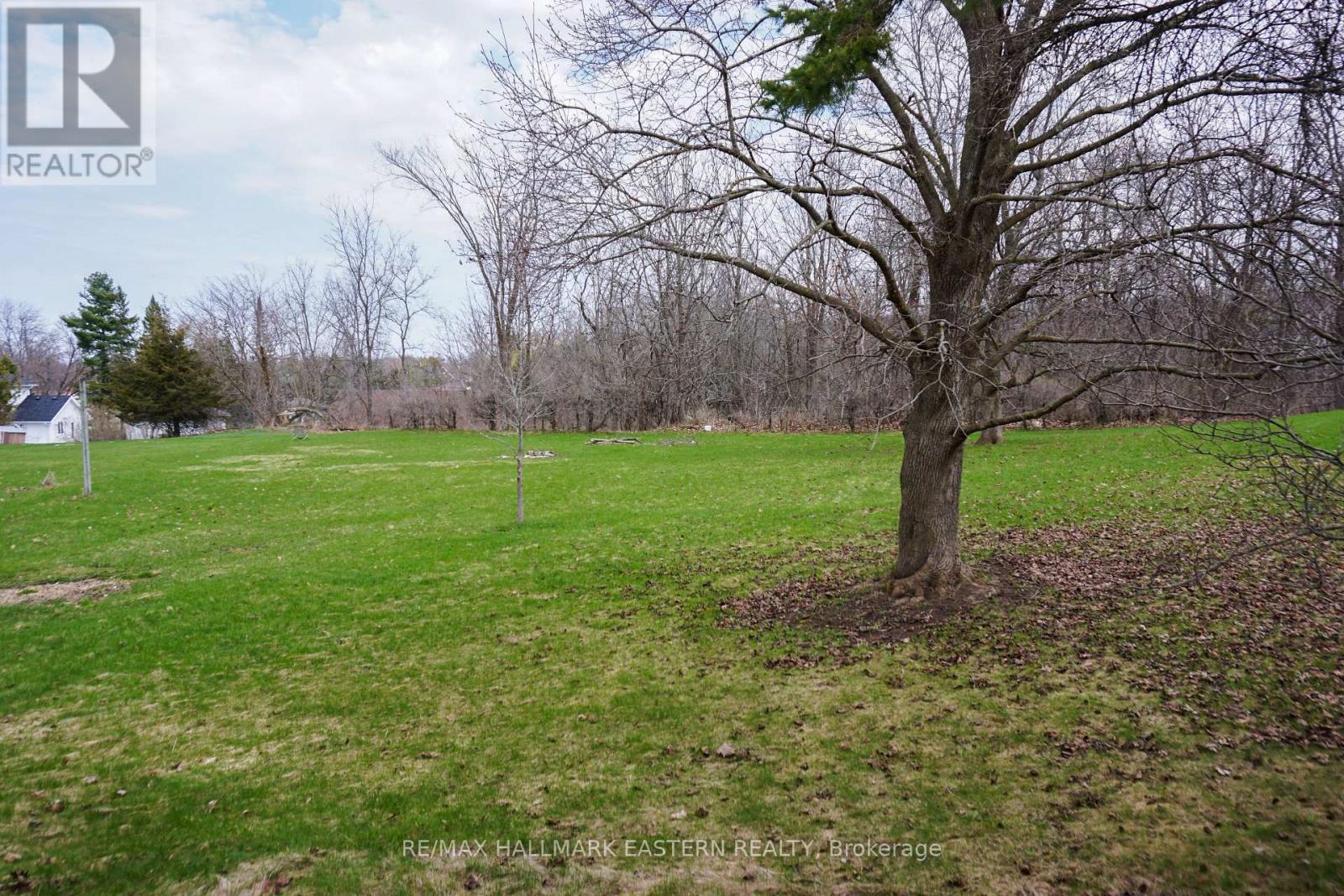 273 Victoria Street, Trent Hills, Ontario  K0L 1L0 - Photo 27 - X12634938