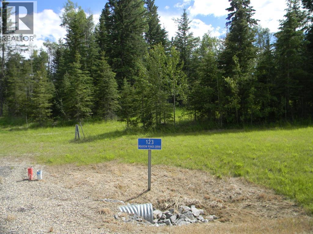 123 Meadow Ponds Drive, Rural Clearwater County, Alberta  T4T 2A2 - Photo 5 - A1021042
