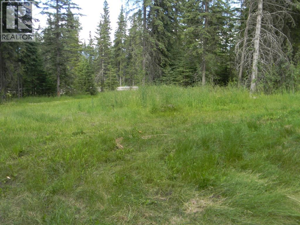 131 Meadow Ponds Drive, Rural Clearwater County, Alberta  T4T 2A2 - Photo 5 - A1021056