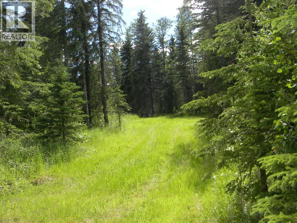 131 Meadow Ponds Drive, Rural Clearwater County, Alberta  T4T 2A2 - Photo 2 - A1021056