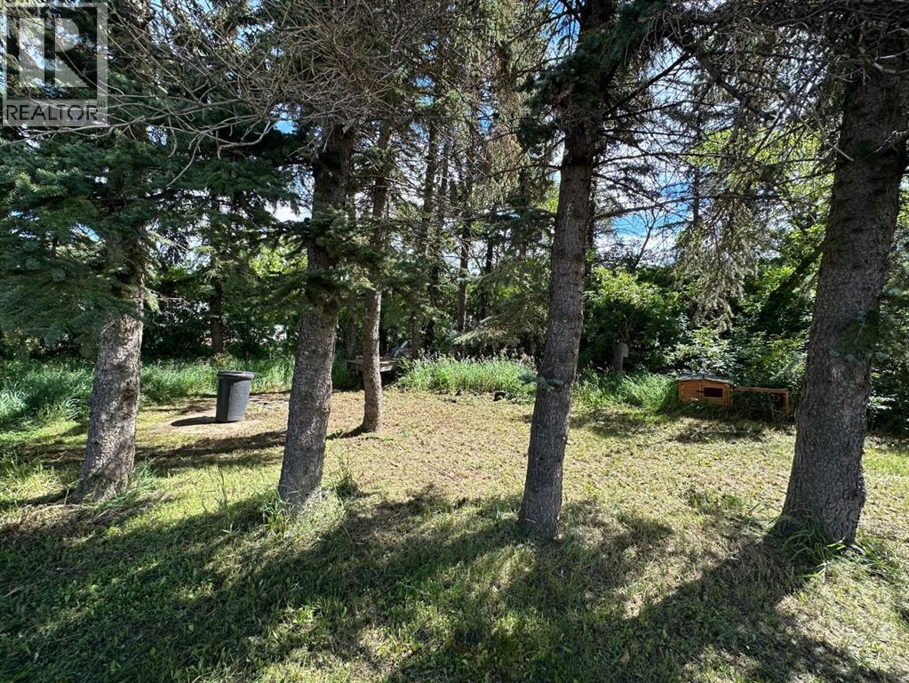 400 Strom Street, Heisler, Alberta  T0B 2A0 - Photo 7 - A2246760