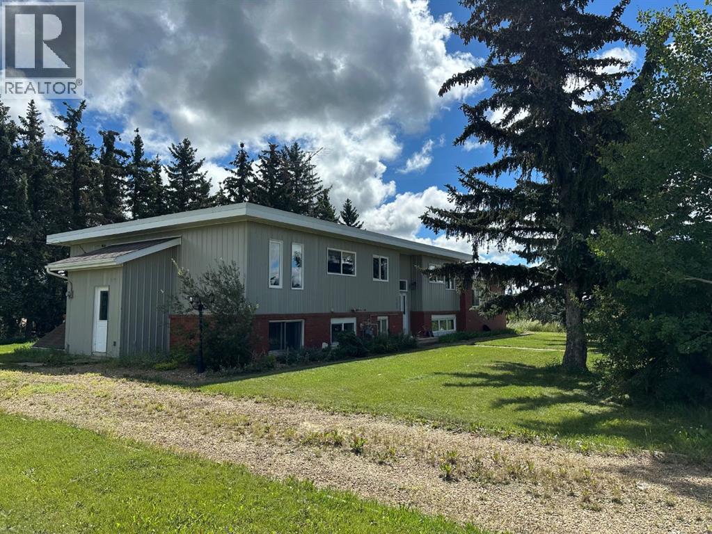 400 Strom Street, Heisler, Alberta  T0B 2A0 - Photo 3 - A2246760