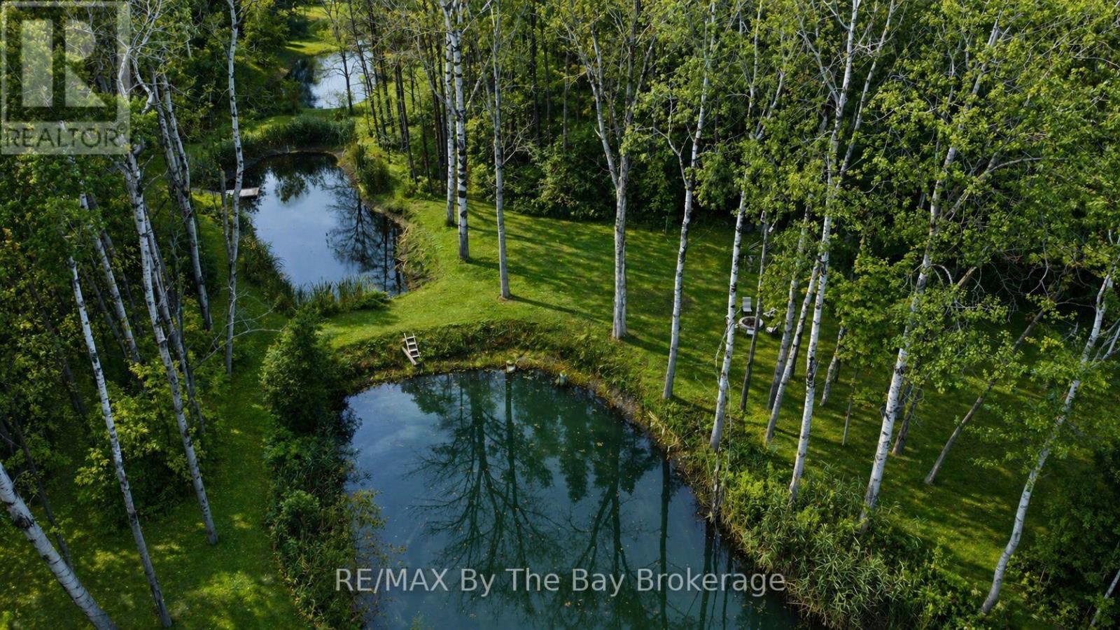 7881 Poplar Side Road, Clearview, Ontario  L9Y 5N4 - Photo 4 - S12896858