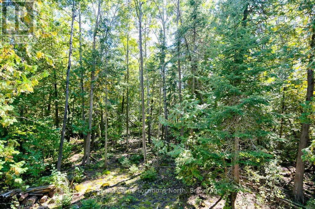 112 Cameron Street, Blue Mountains, Ontario  N0H 2P0 - Photo 24 - X12415157