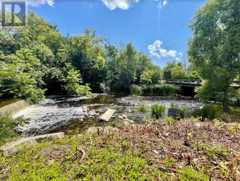 175 Laidlaw Street N, Brock, Ontario  L0E 1E0 - Photo 5 - N12812754