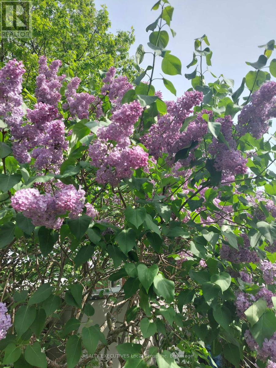 1536 Lisgar Street, North Bay, Ontario  P1B 3B1 - Photo 47 - X13053712