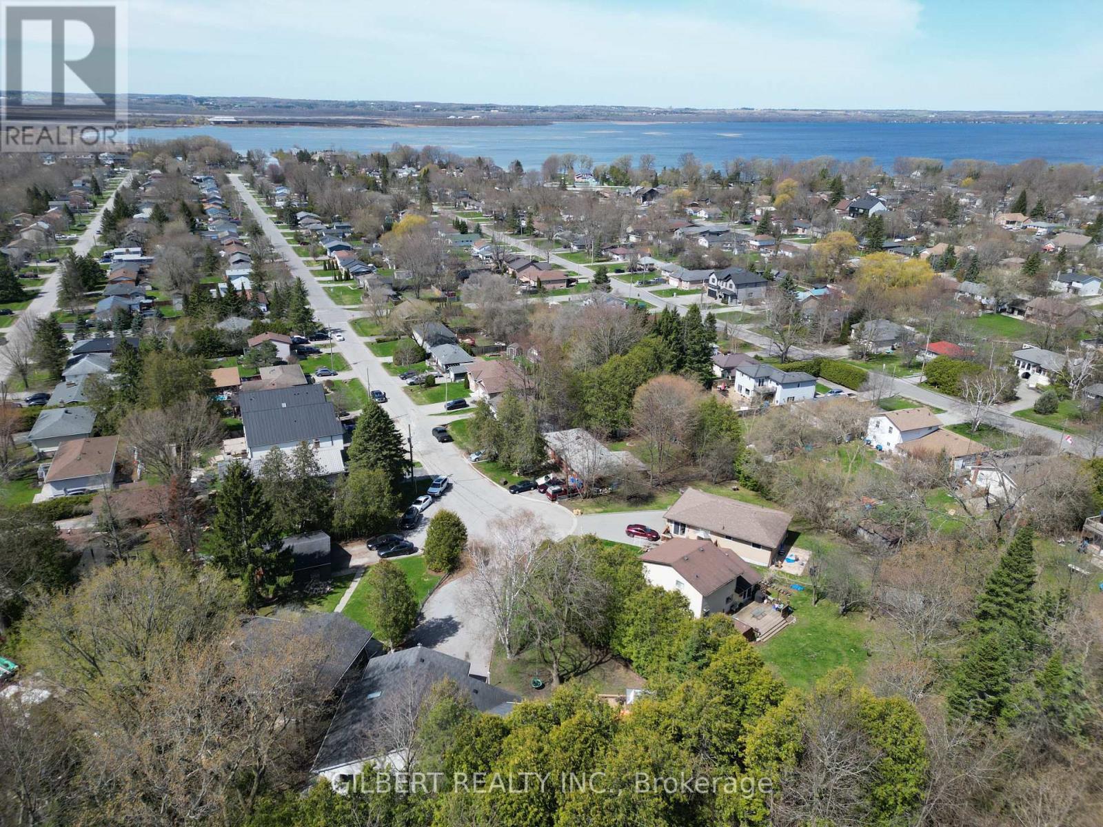 313 Winnifred Drive, Georgina, Ontario  L4P 3B4 - Photo 33 - N13053816