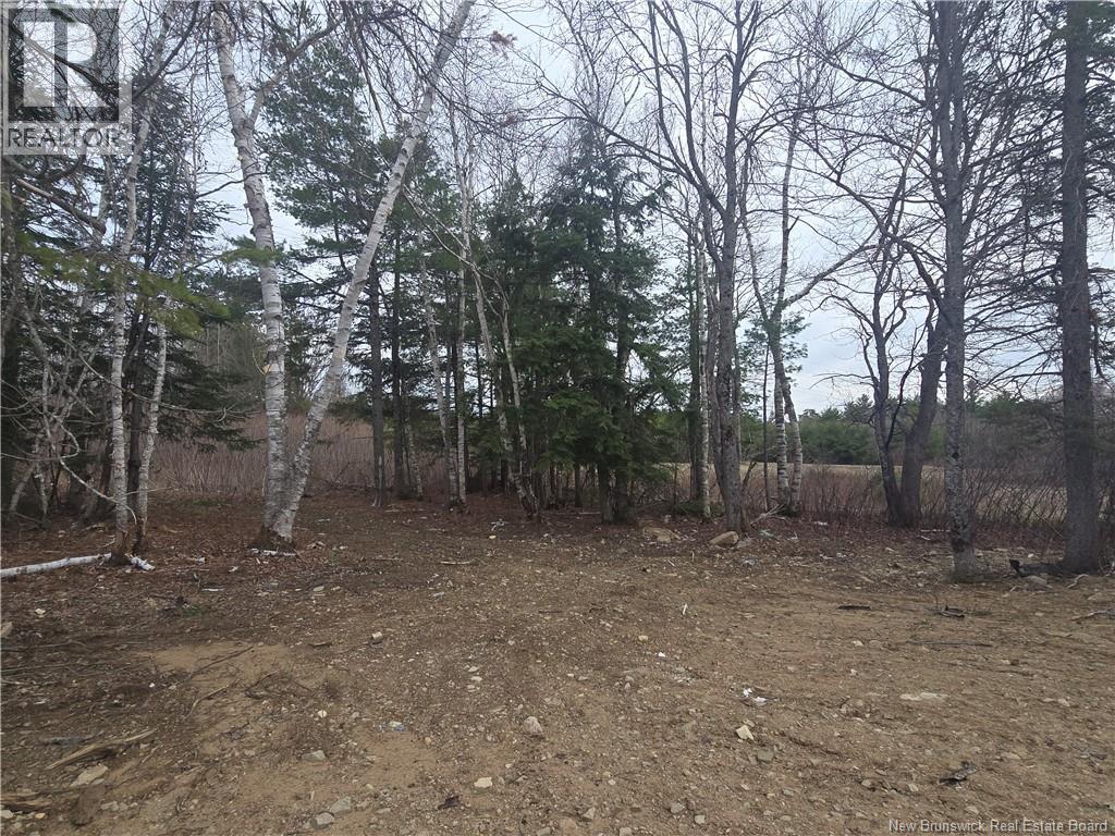 213 Gordon Road, Miramichi, New Brunswick  E1N 3S7 - Photo 28 - NB131176