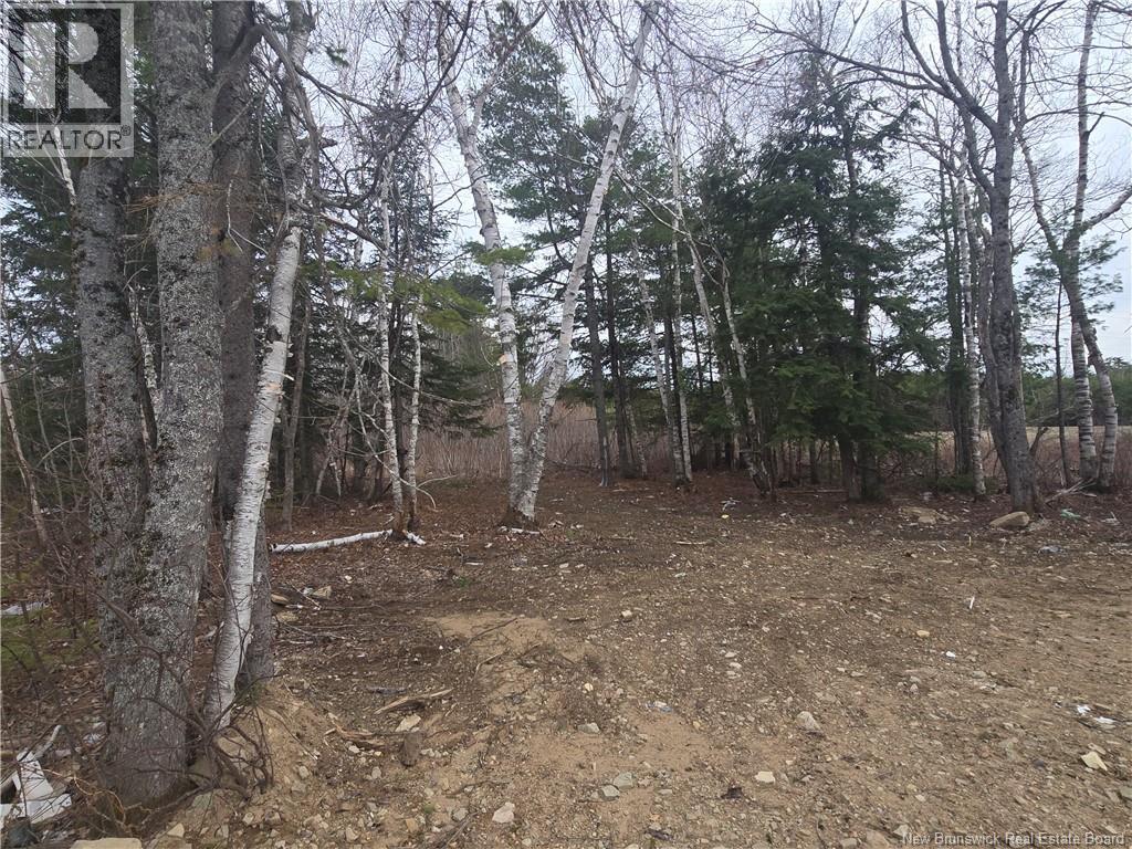 213 Gordon Road, Miramichi, New Brunswick  E1N 3S7 - Photo 29 - NB131176