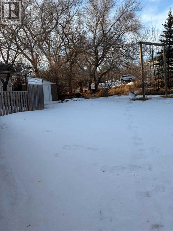 5011 53 Street, Consort, Alberta  T0C 1B0 - Photo 31 - A2287439