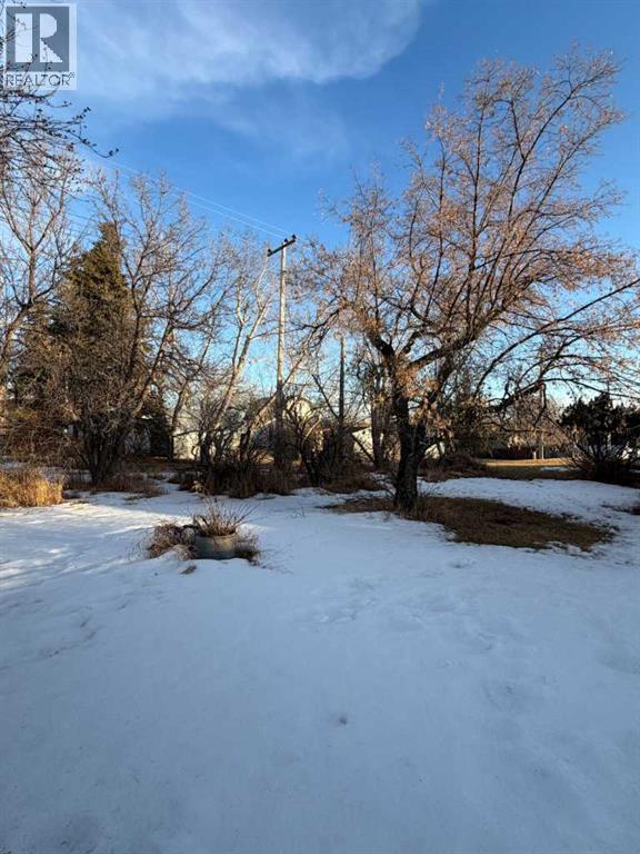 5011 53 Street, Consort, Alberta  T0C 1B0 - Photo 32 - A2287439