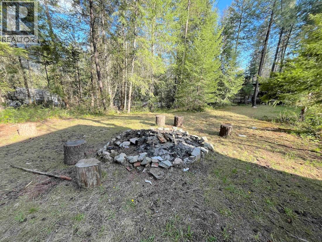102 Chase Road, Christina Lake, British Columbia  V0H 1E0 - Photo 24 - 10385180