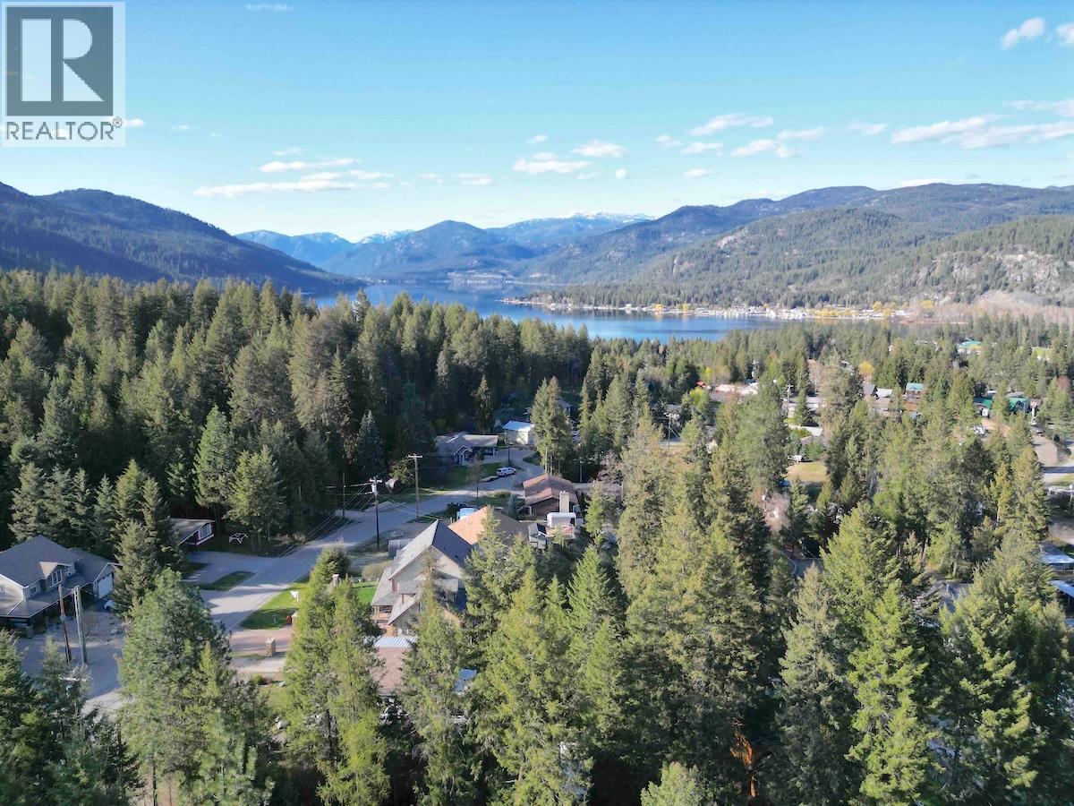 102 Chase Road, Christina Lake, British Columbia  V0H 1E0 - Photo 32 - 10385180
