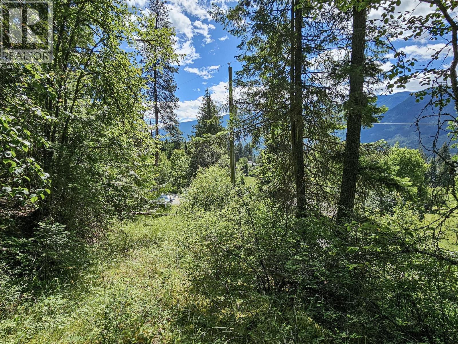 Lot 1 Longbeach Road, Nelson, British Columbia  V1L 6P2 - Photo 12 - 10385069