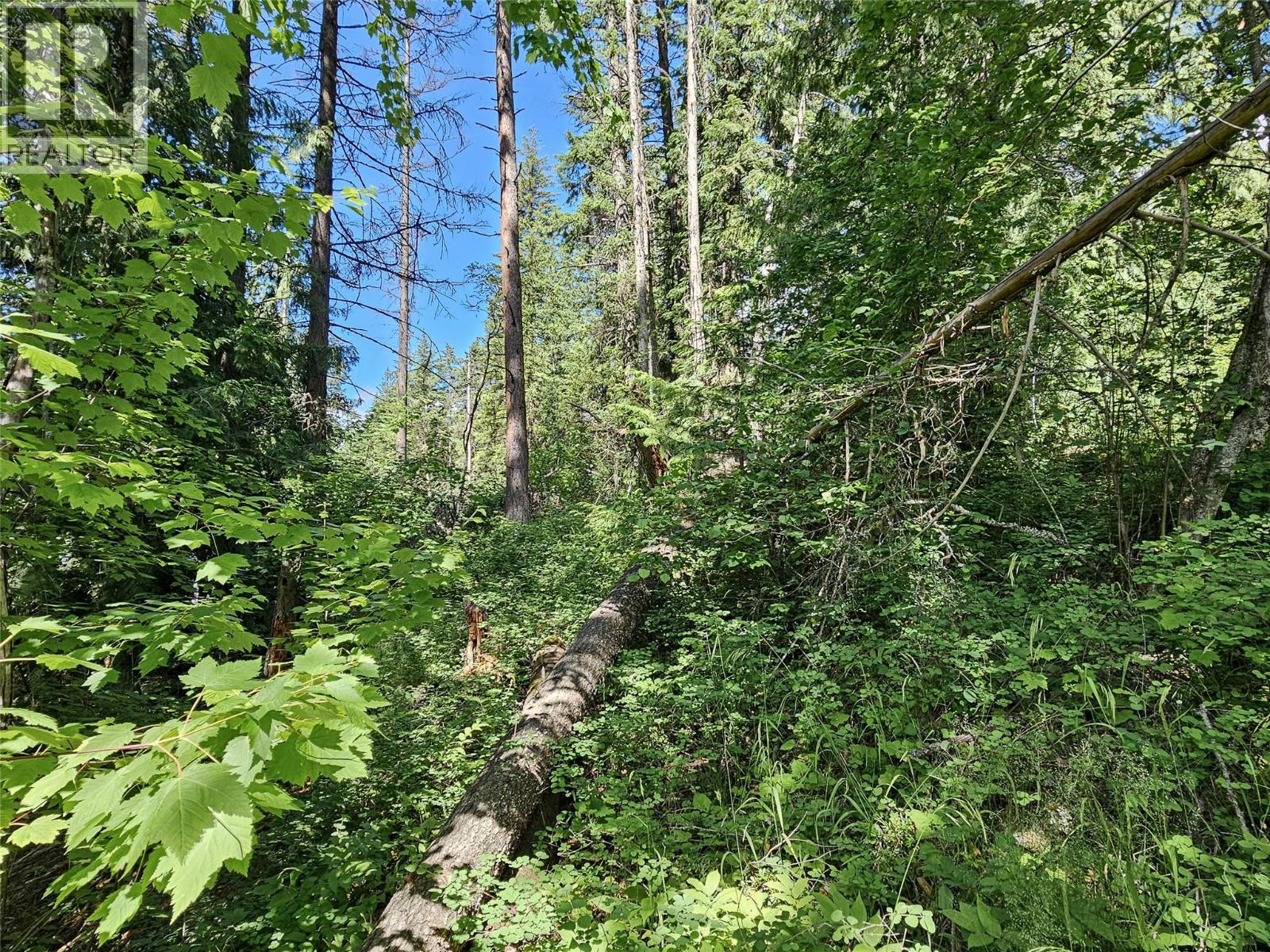 Lot 1 Longbeach Road, Nelson, British Columbia  V1L 6P2 - Photo 11 - 10385069