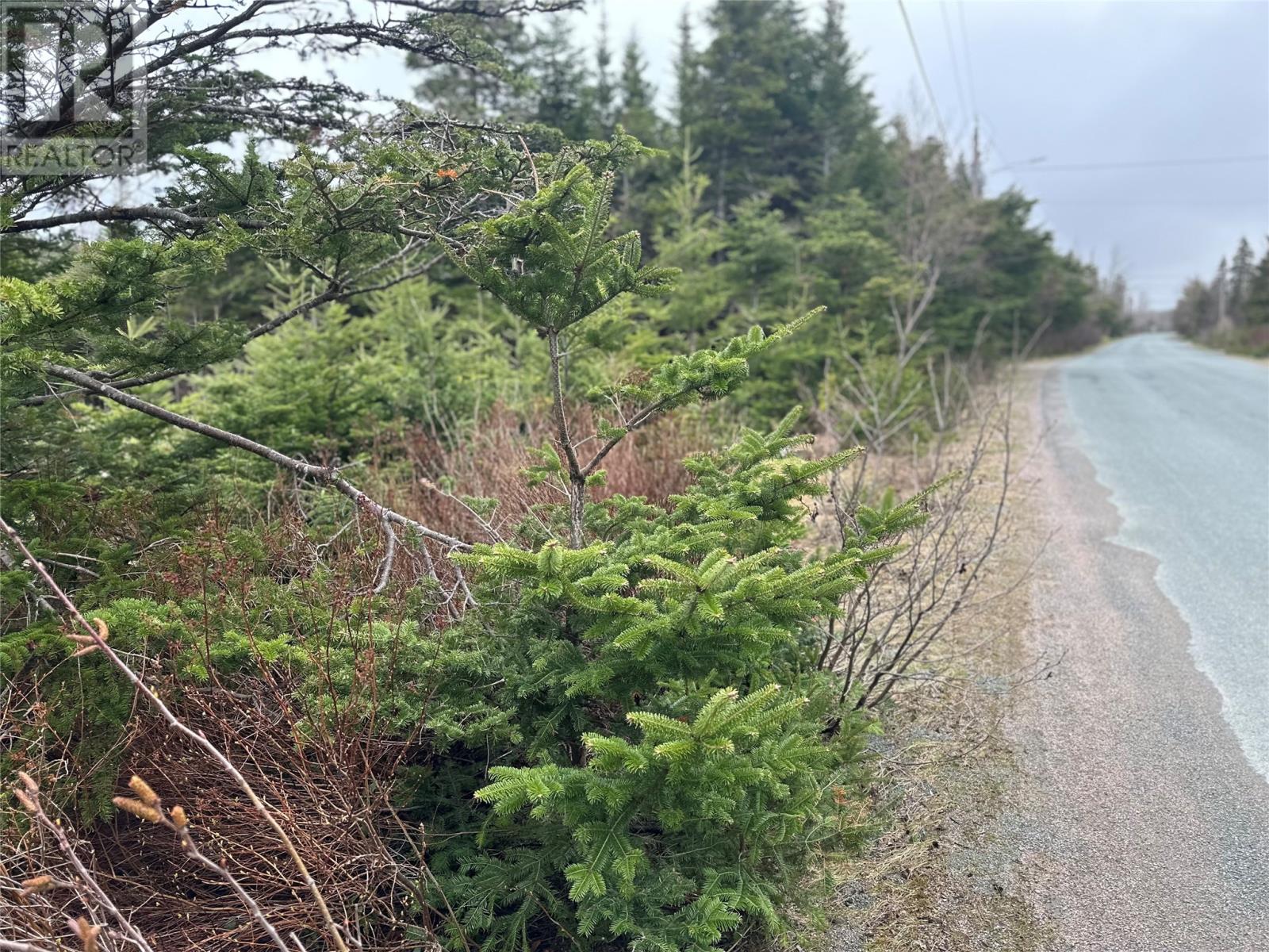 54 Ridge Road, Holyrood, Newfoundland & Labrador  A0A 2R0 - Photo 16 - 1284560