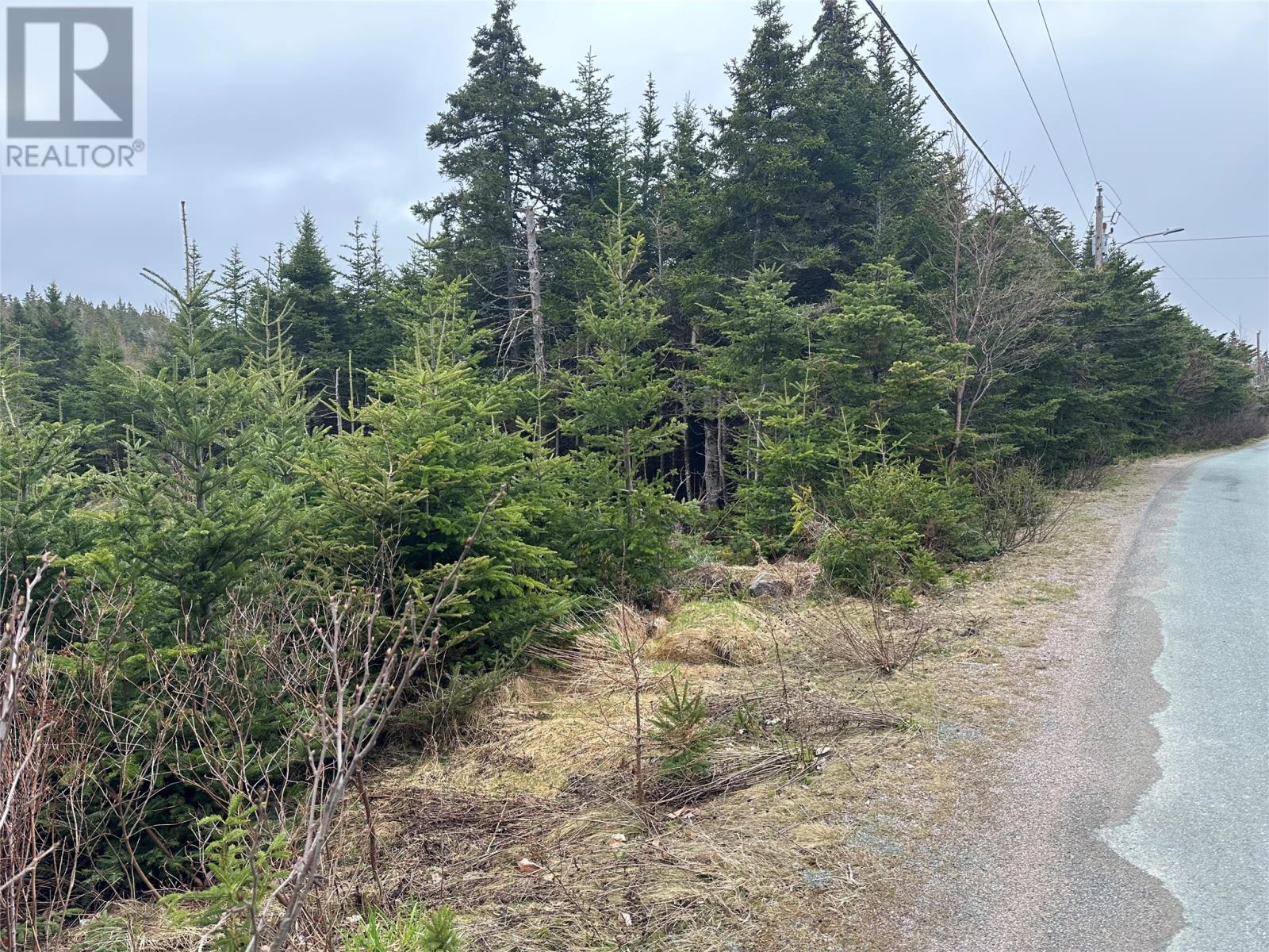 54 Ridge Road, Holyrood, Newfoundland & Labrador  A0A 2R0 - Photo 20 - 1284560