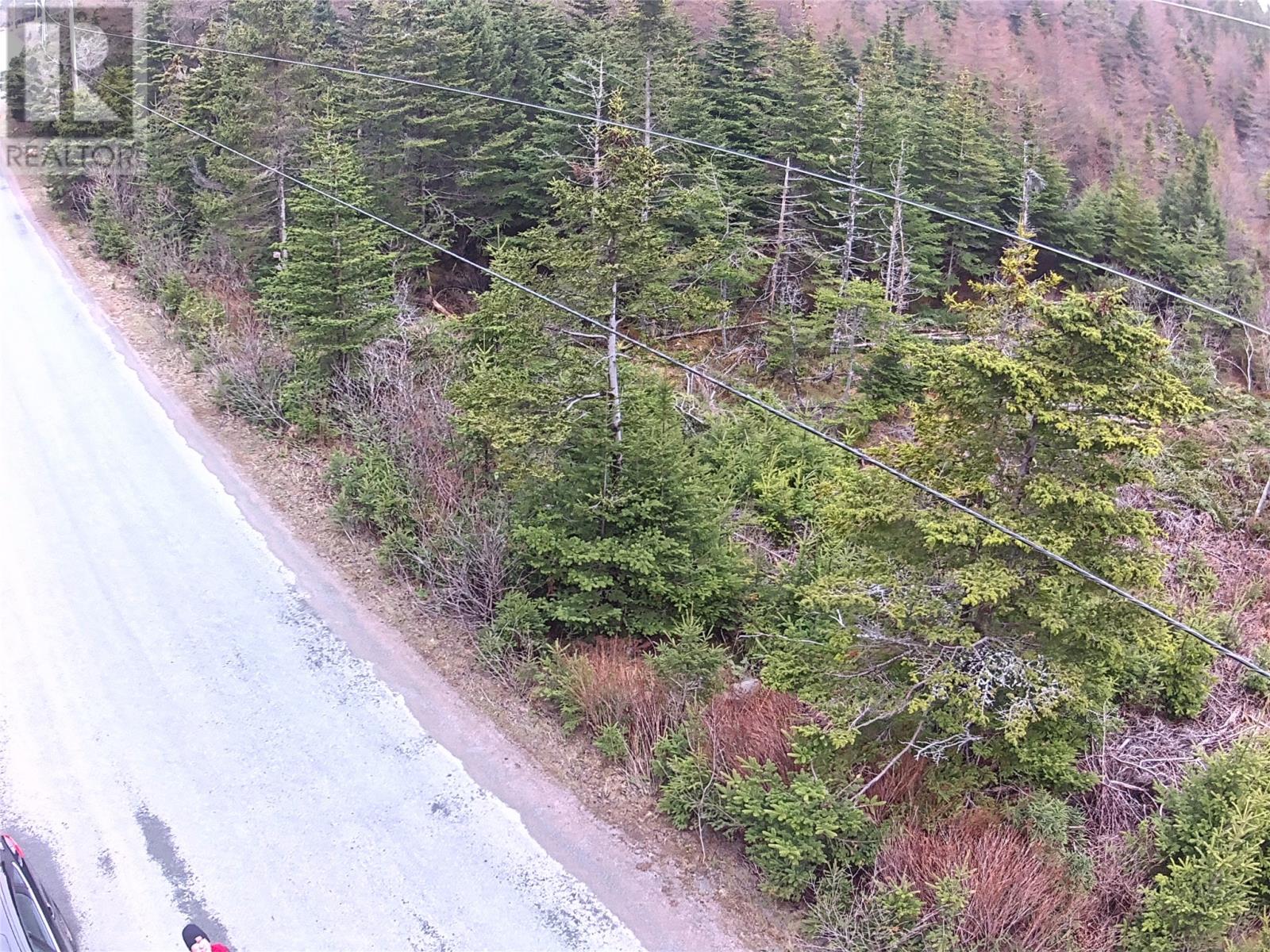 54 Ridge Road, Holyrood, Newfoundland & Labrador  A0A 2R0 - Photo 21 - 1284560