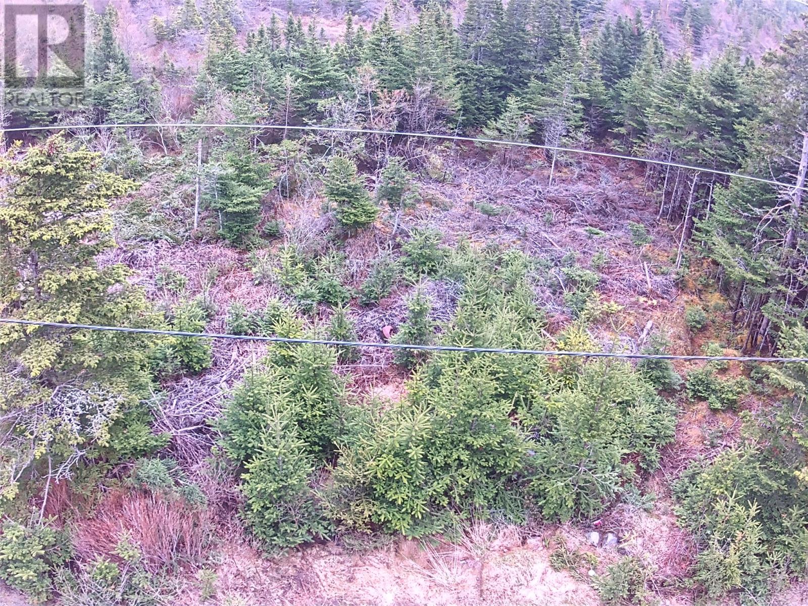 54 Ridge Road, Holyrood, Newfoundland & Labrador  A0A 2R0 - Photo 22 - 1284560