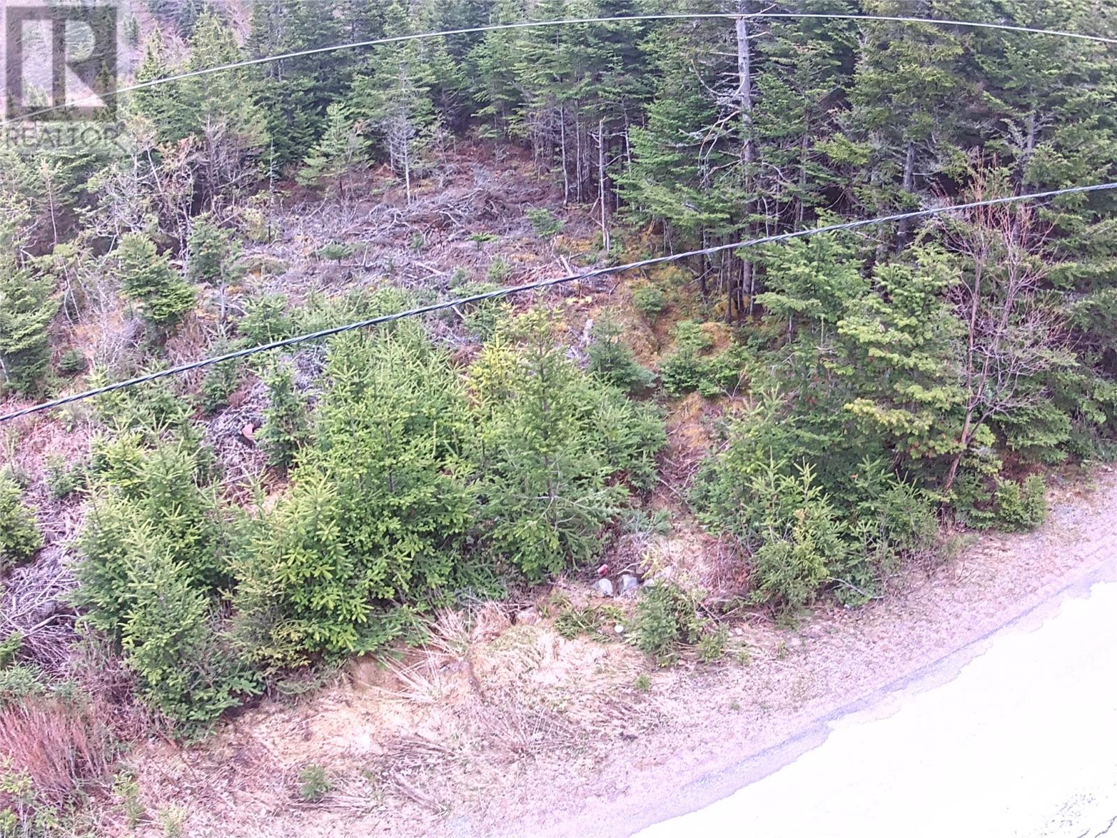 54 Ridge Road, Holyrood, Newfoundland & Labrador  A0A 2R0 - Photo 23 - 1284560