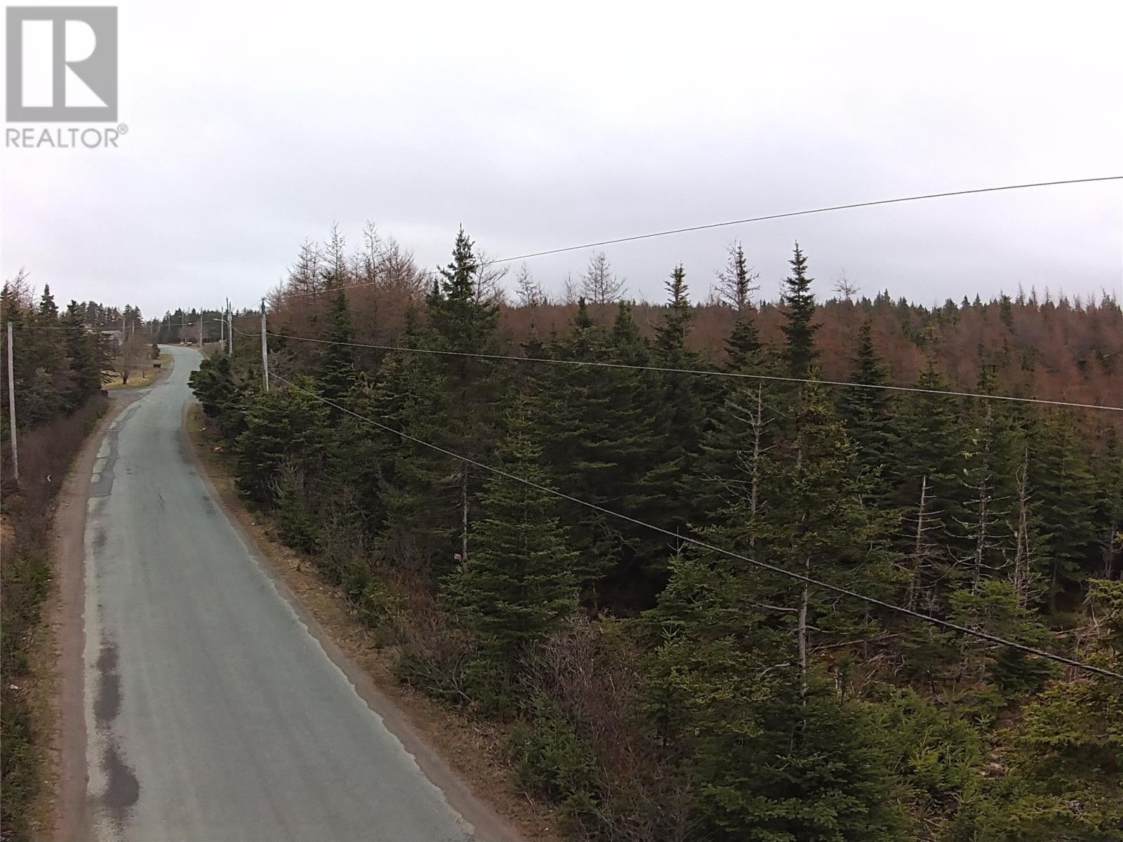 54 Ridge Road, Holyrood, Newfoundland & Labrador  A0A 2R0 - Photo 24 - 1284560