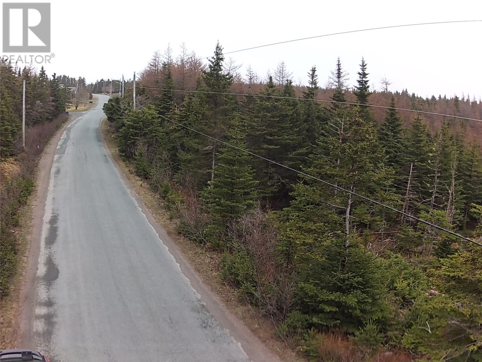 54 Ridge Road, Holyrood, Newfoundland & Labrador  A0A 2R0 - Photo 25 - 1284560