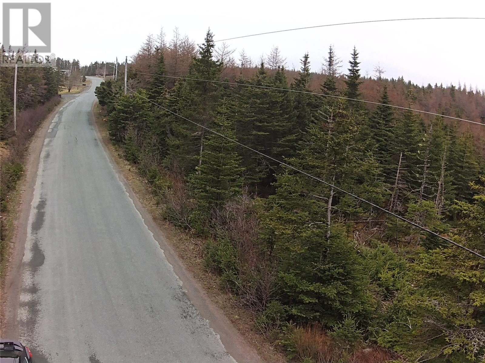54 Ridge Road, Holyrood, Newfoundland & Labrador  A0A 2R0 - Photo 26 - 1284560