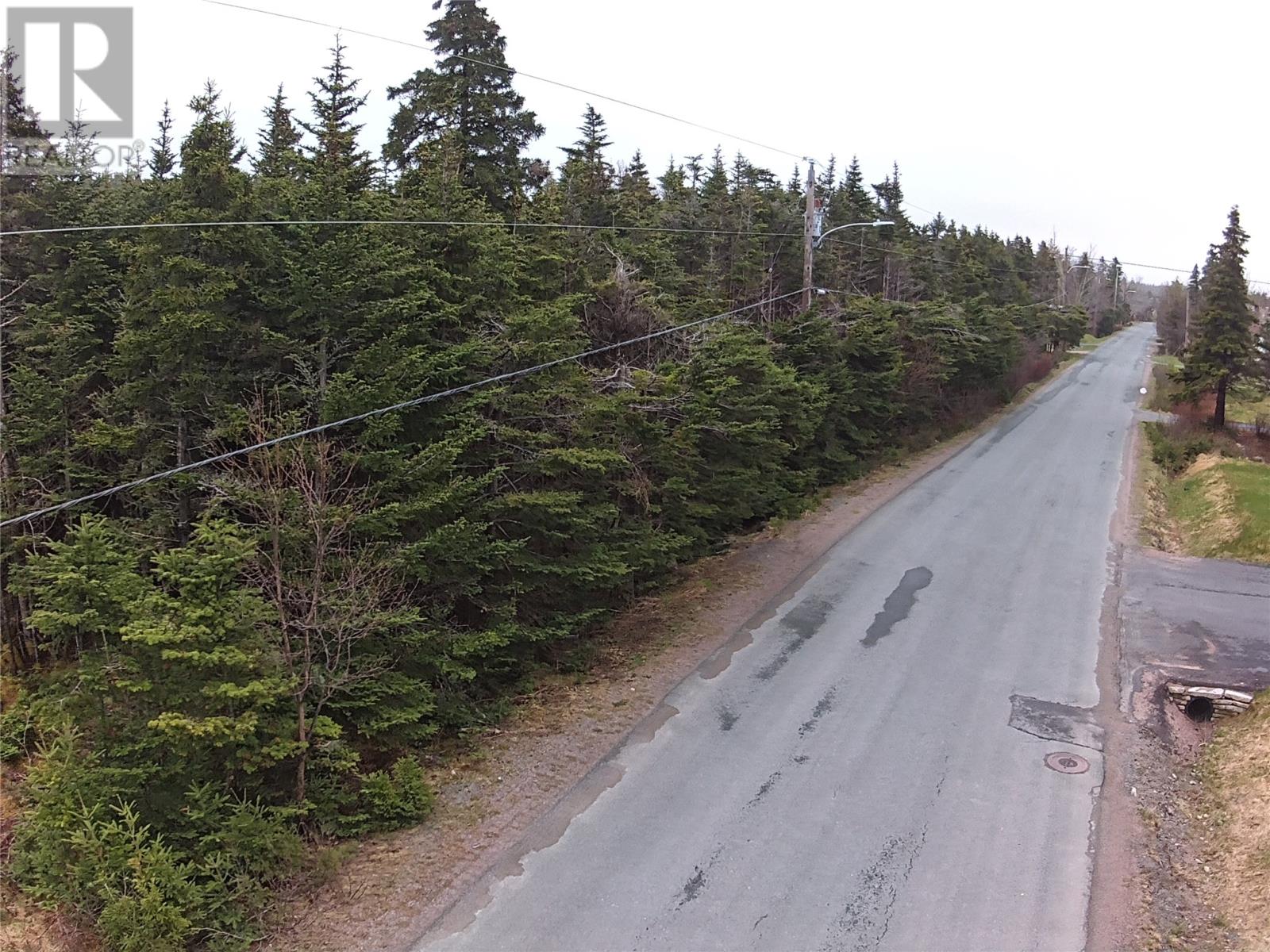 54 Ridge Road, Holyrood, Newfoundland & Labrador  A0A 2R0 - Photo 27 - 1284560