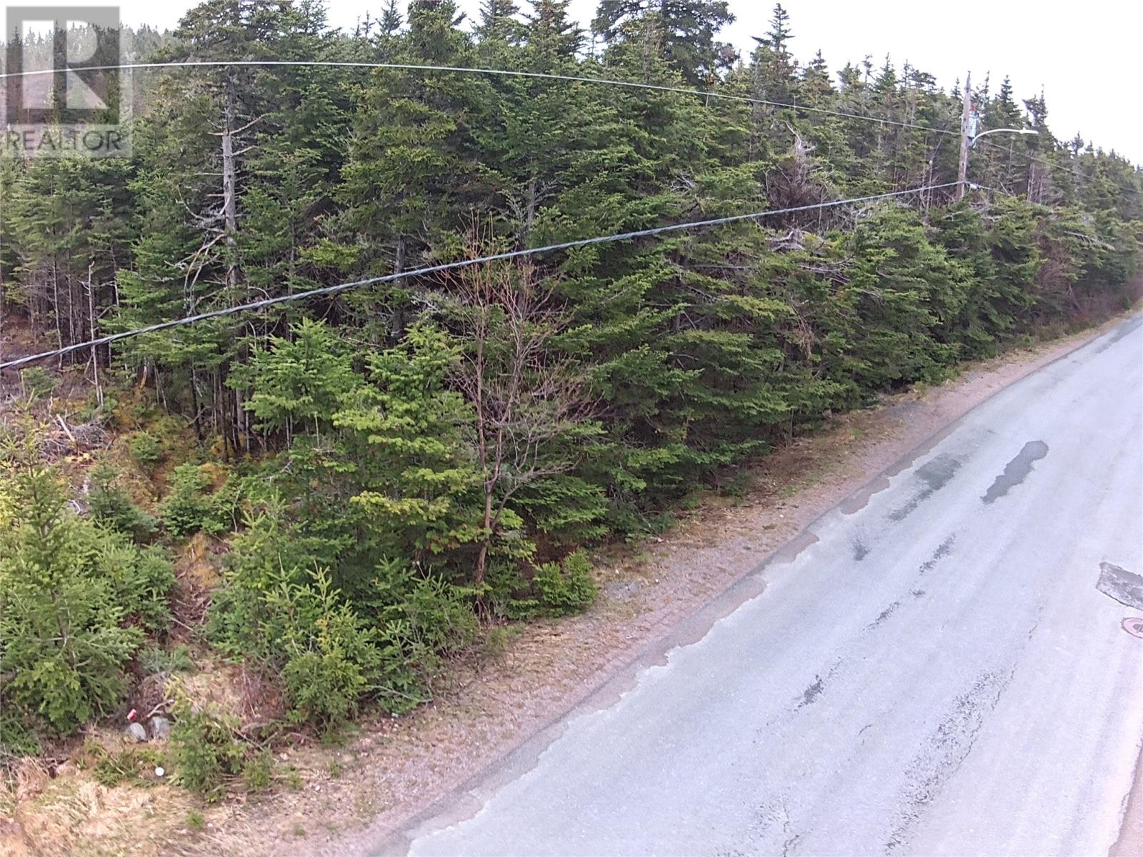 54 Ridge Road, Holyrood, Newfoundland & Labrador  A0A 2R0 - Photo 28 - 1284560