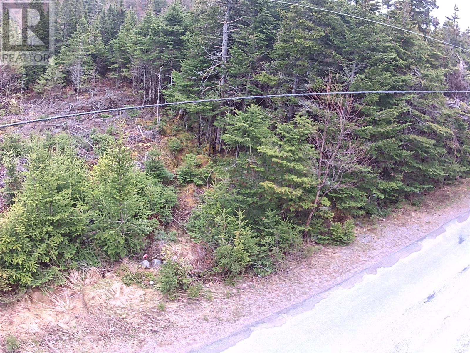 54 Ridge Road, Holyrood, Newfoundland & Labrador  A0A 2R0 - Photo 29 - 1284560