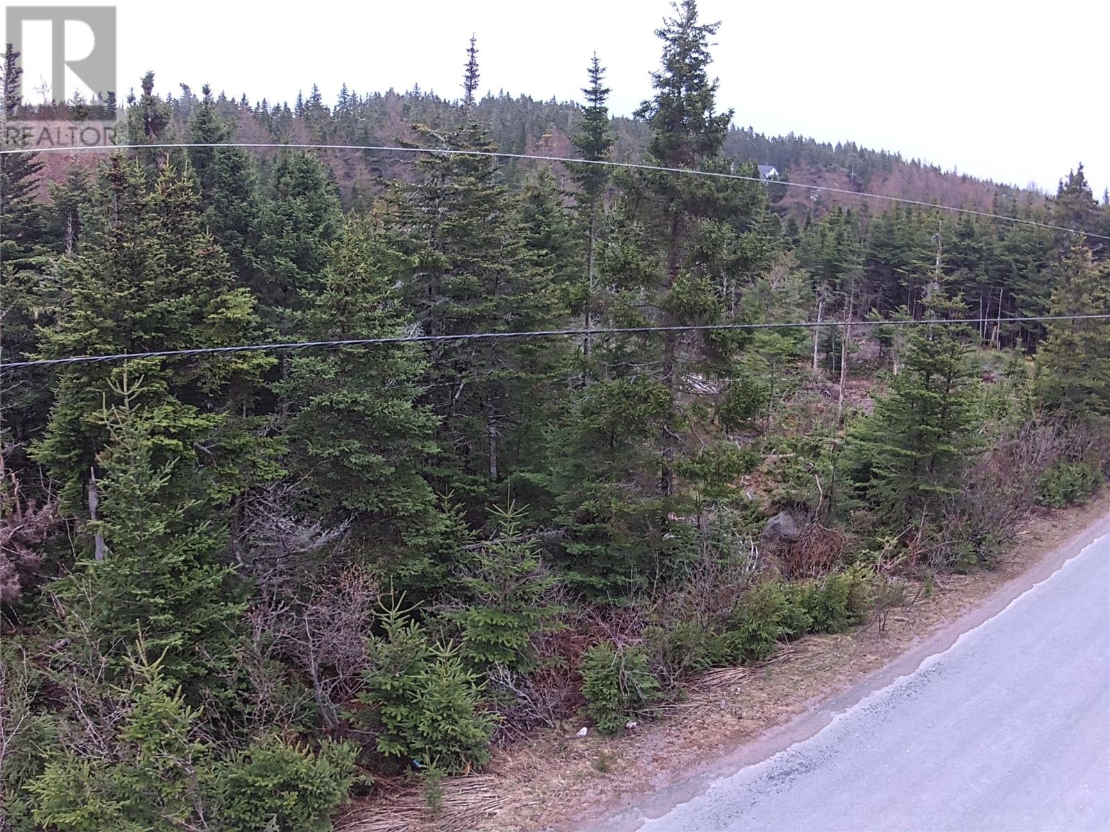 54 Ridge Road, Holyrood, Newfoundland & Labrador  A0A 2R0 - Photo 3 - 1284560