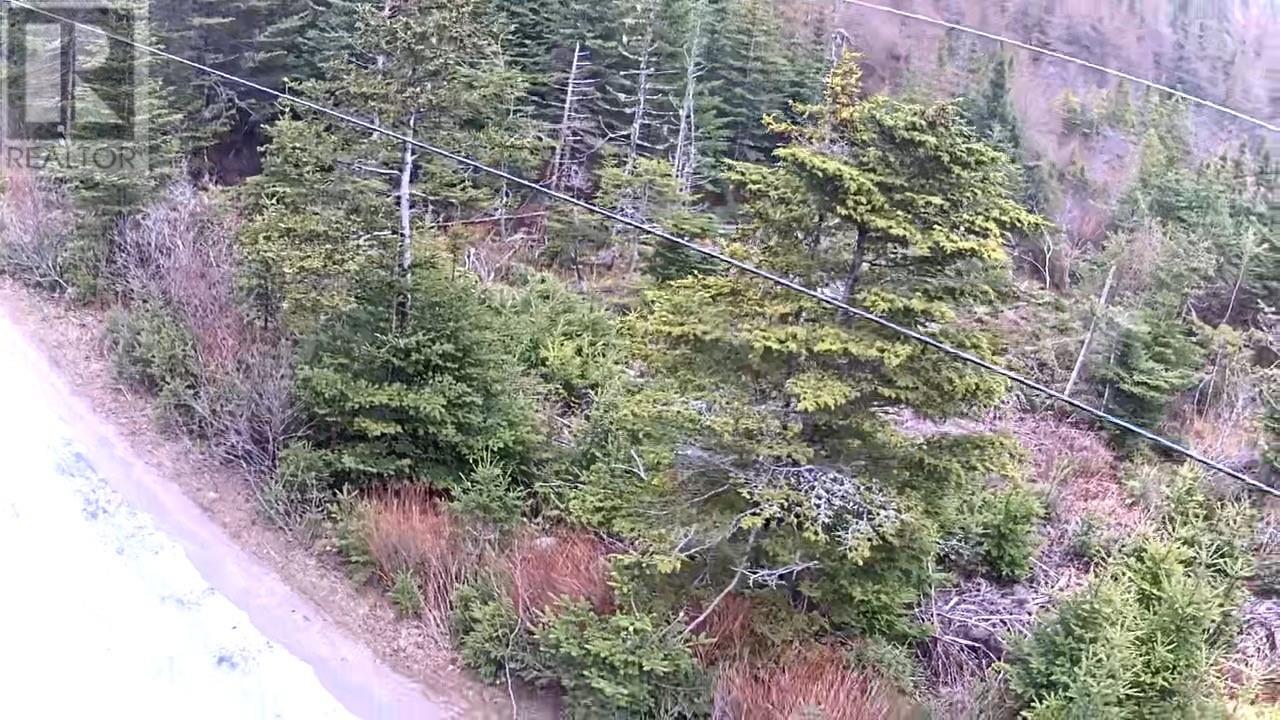 54 Ridge Road, Holyrood, Newfoundland & Labrador  A0A 2R0 - Photo 30 - 1284560