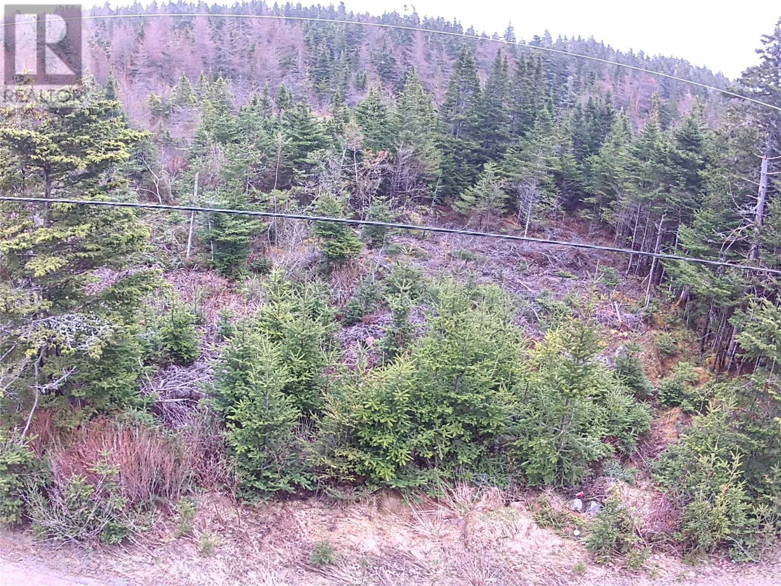 54 Ridge Road, Holyrood, Newfoundland & Labrador  A0A 2R0 - Photo 31 - 1284560